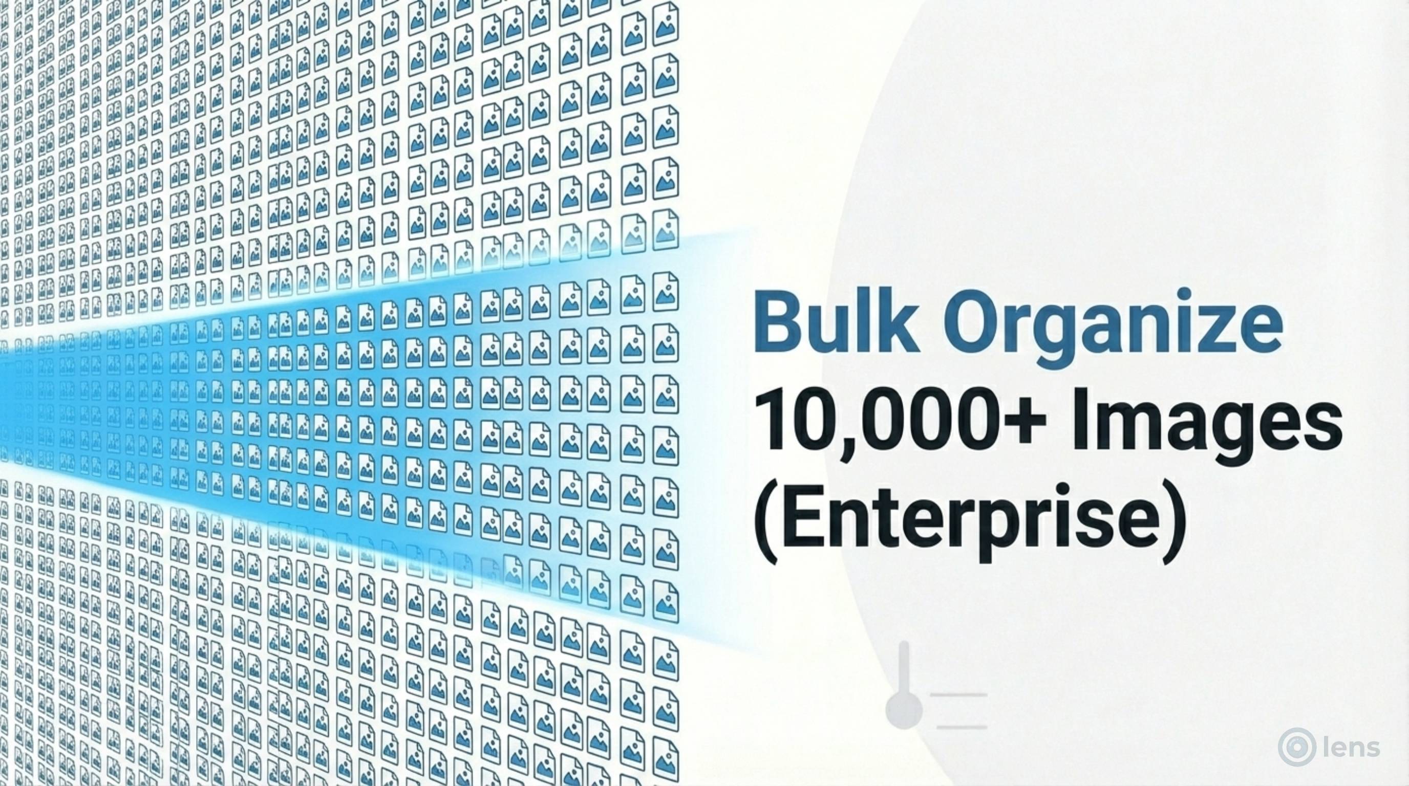 Bulk Organize WordPress Media Library